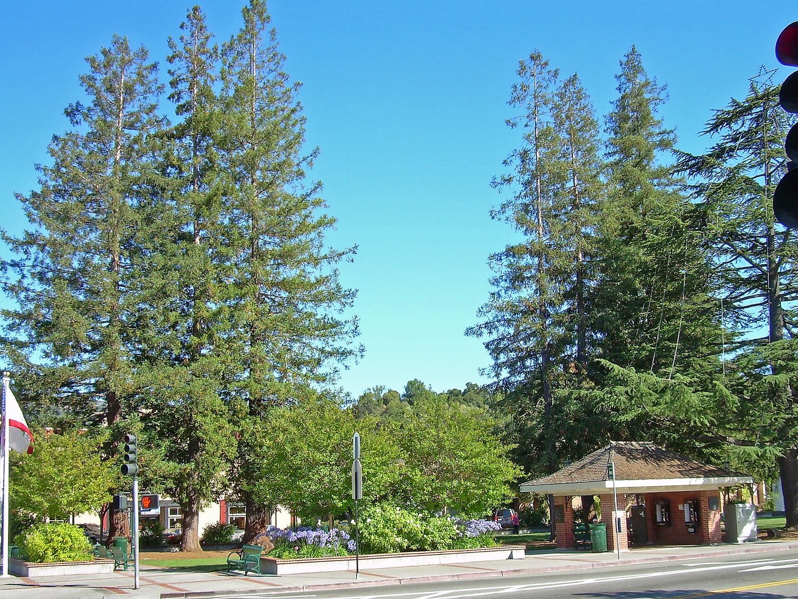 Los Gatos, California